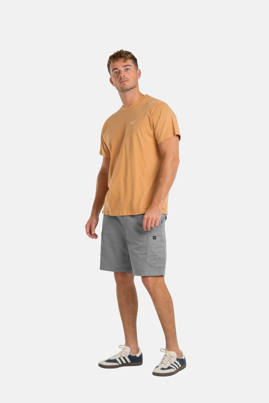 REELL EASY CARGO SHORT - Light Grey