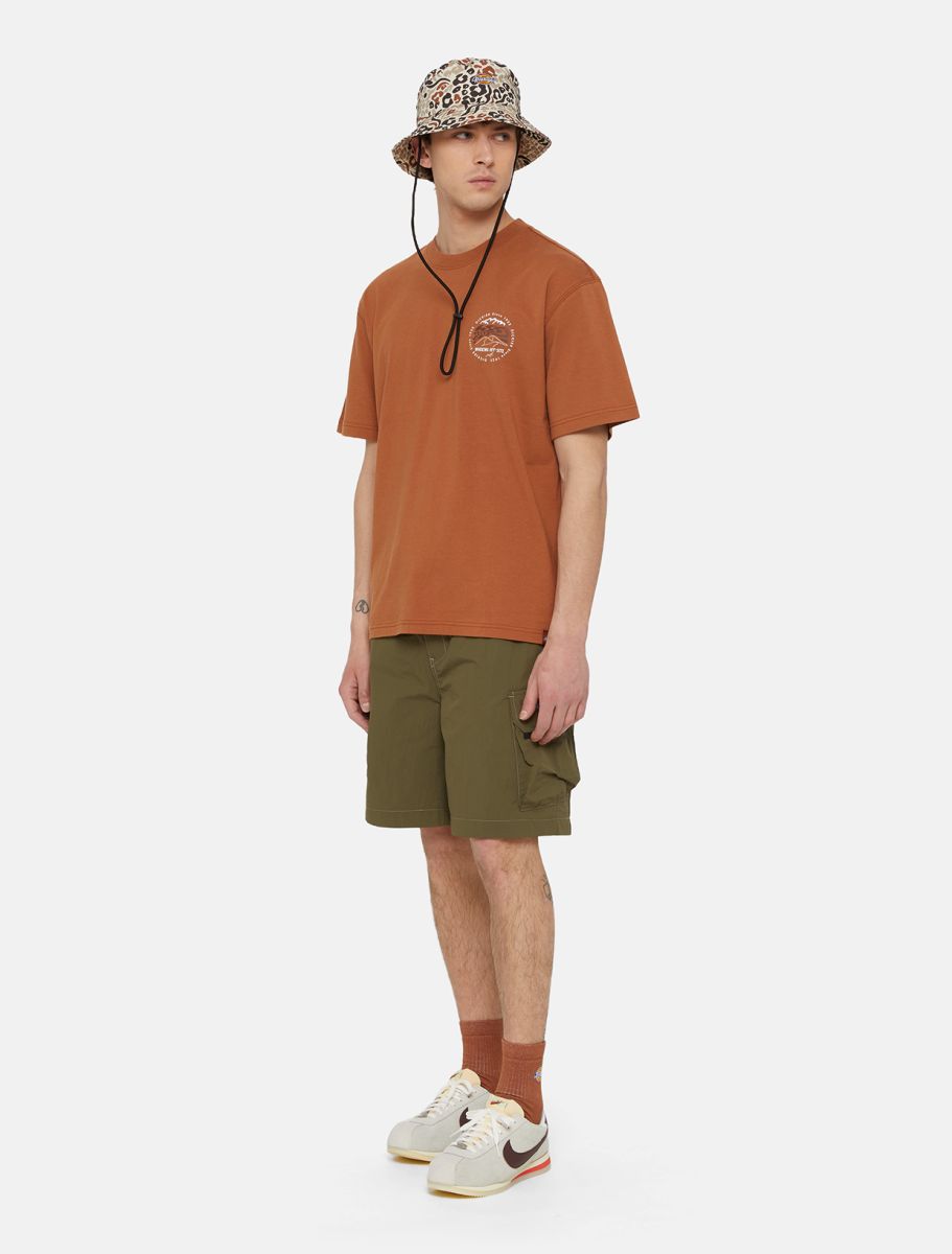 DICKIES JACKSON CARGO SHORT - Green