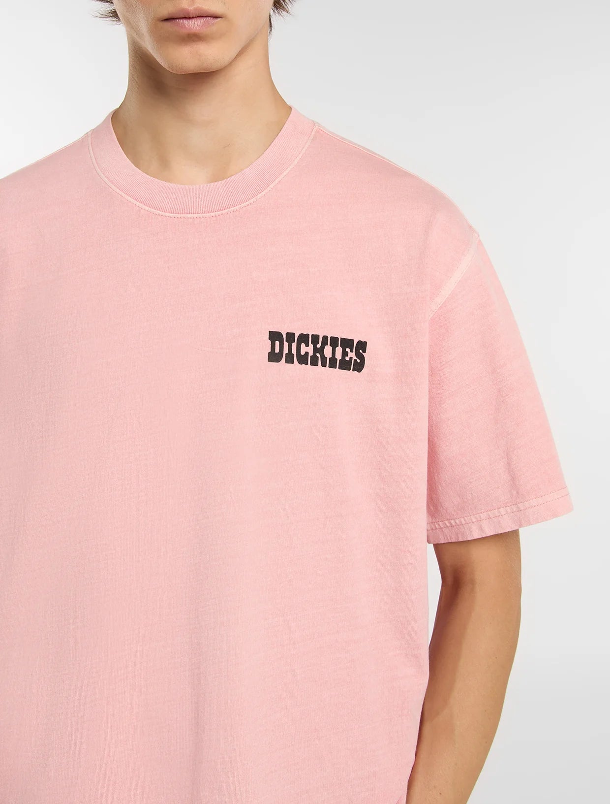 DICKIES Buchtell  SS Tee - Bridal Rose