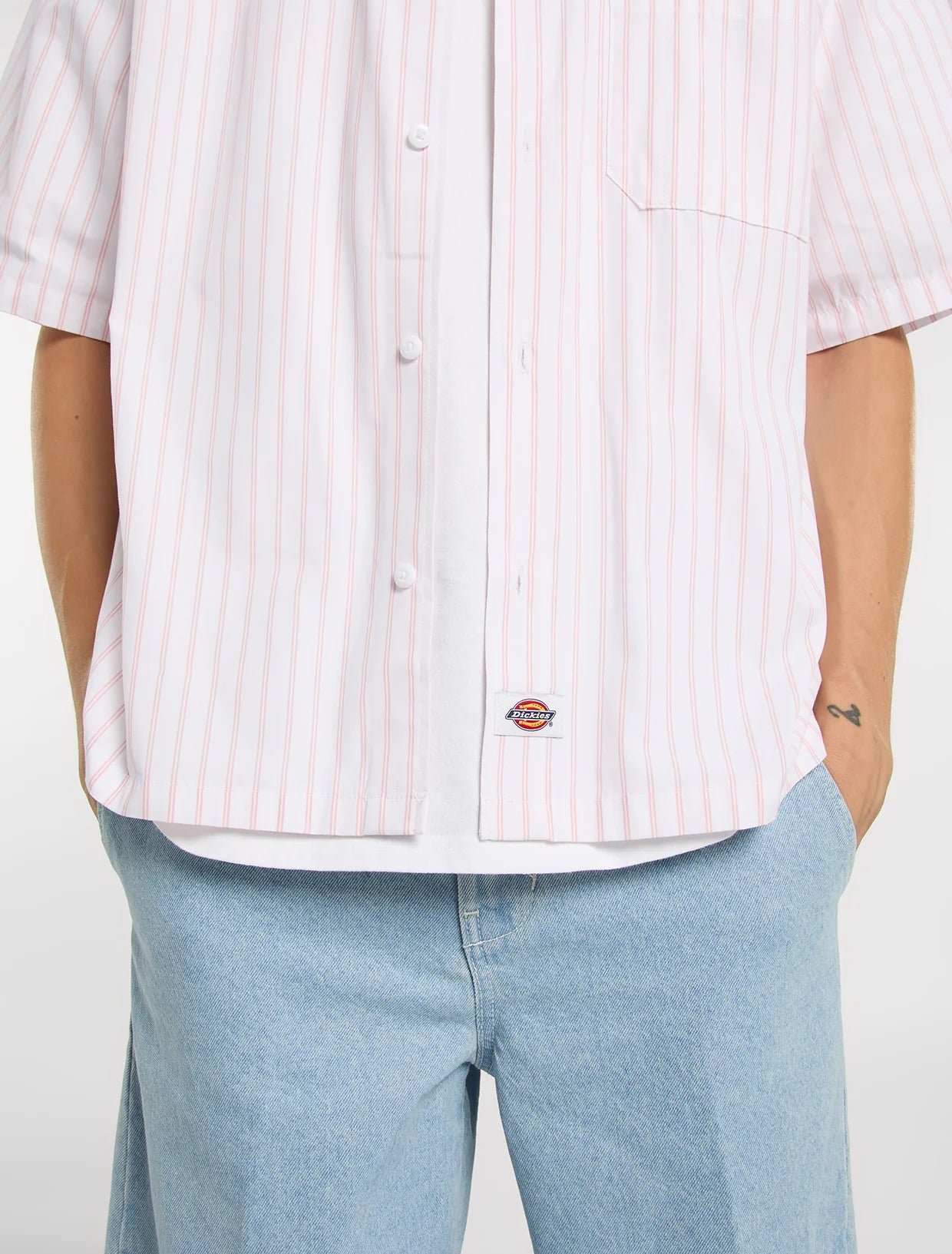 DICKIES Venedocia Stripes SS SHIRT - White