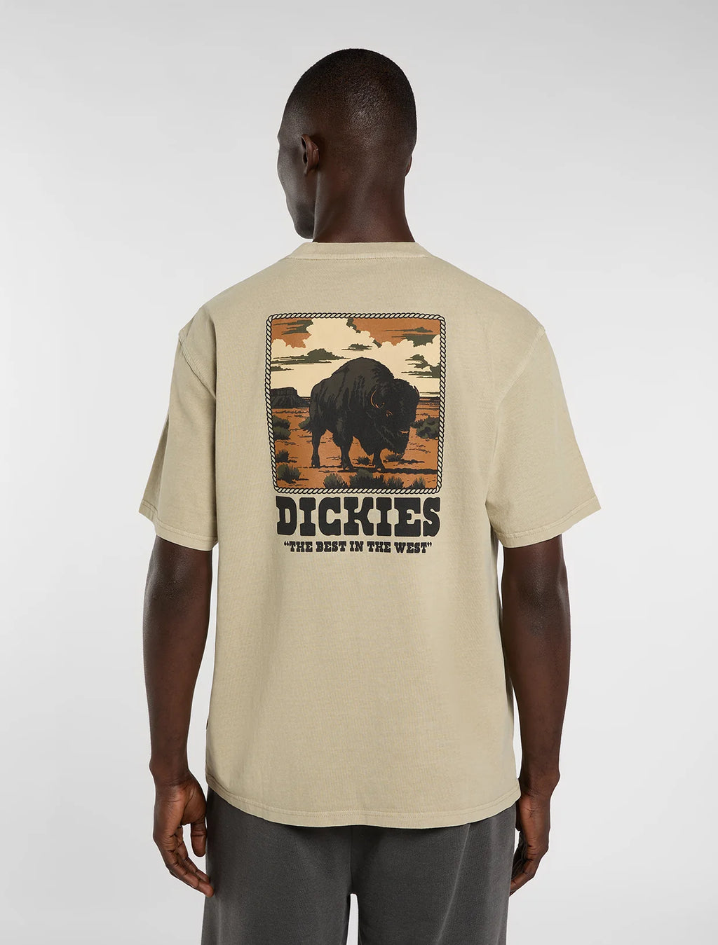 DICKIES Darrtown SS Tee - Beige