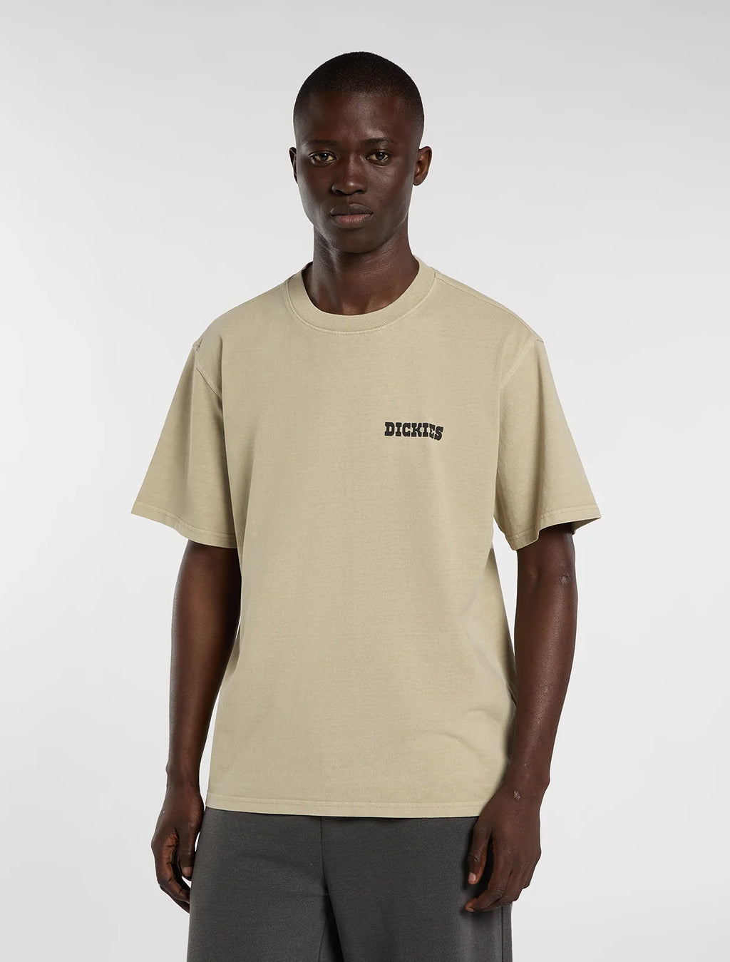 DICKIES Darrtown SS Tee - Beige
