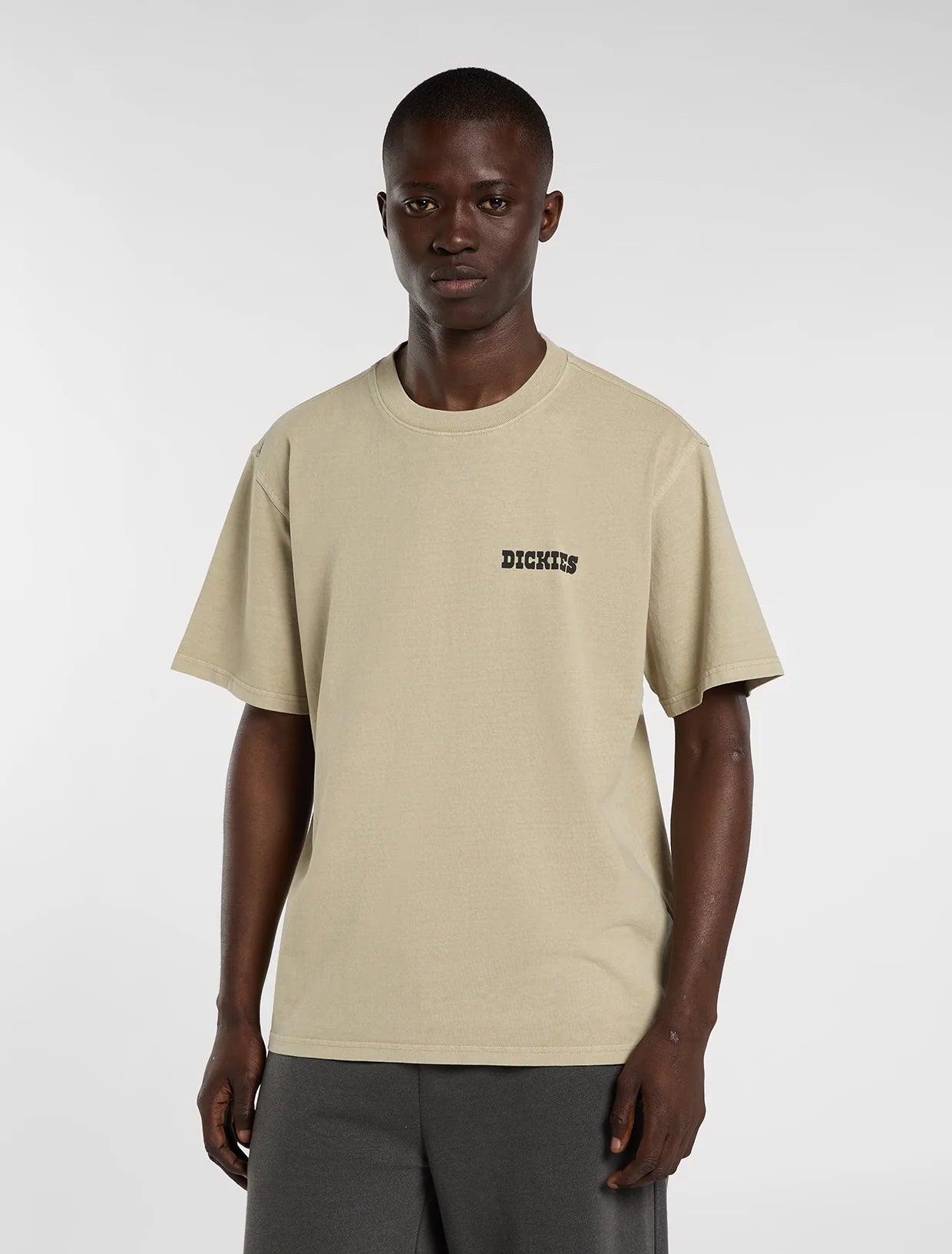 DICKIES Darrtown SS Tee - Beige