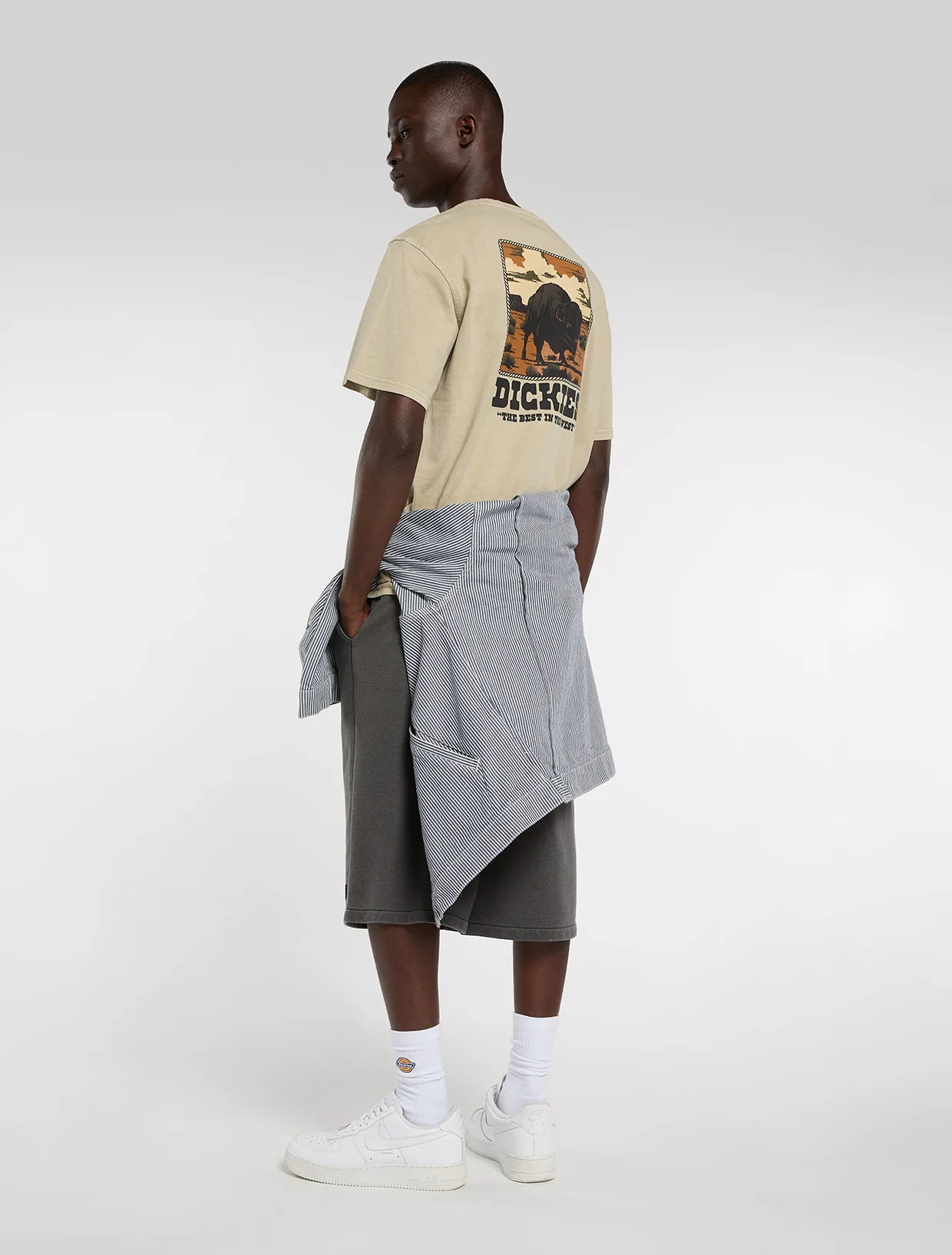 DICKIES Darrtown SS Tee - Beige