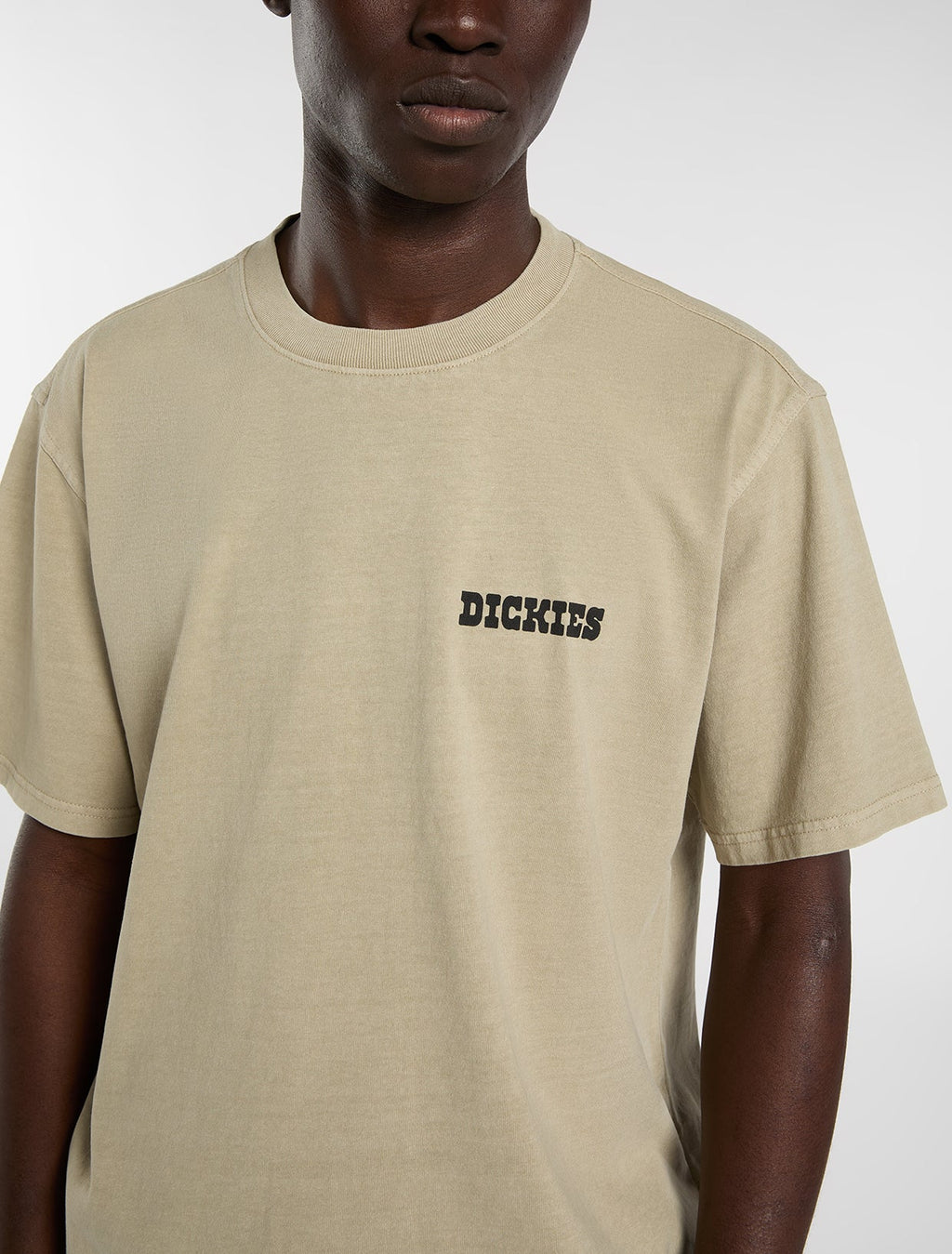 DICKIES Darrtown SS Tee - Beige