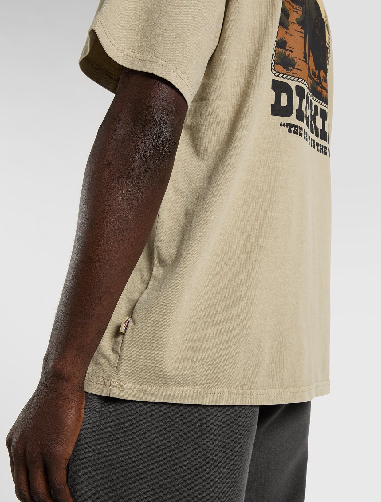 DICKIES Darrtown SS Tee - Beige