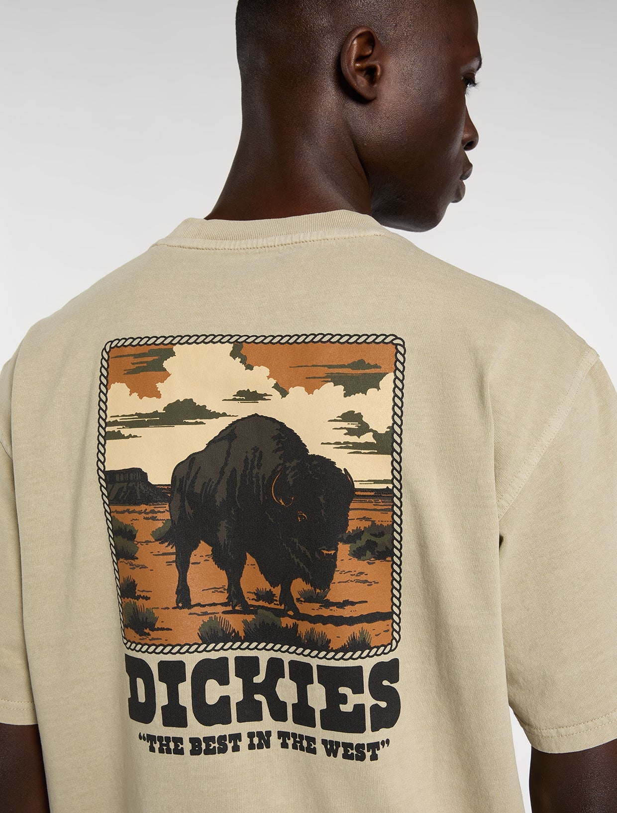 DICKIES Darrtown SS Tee - Beige
