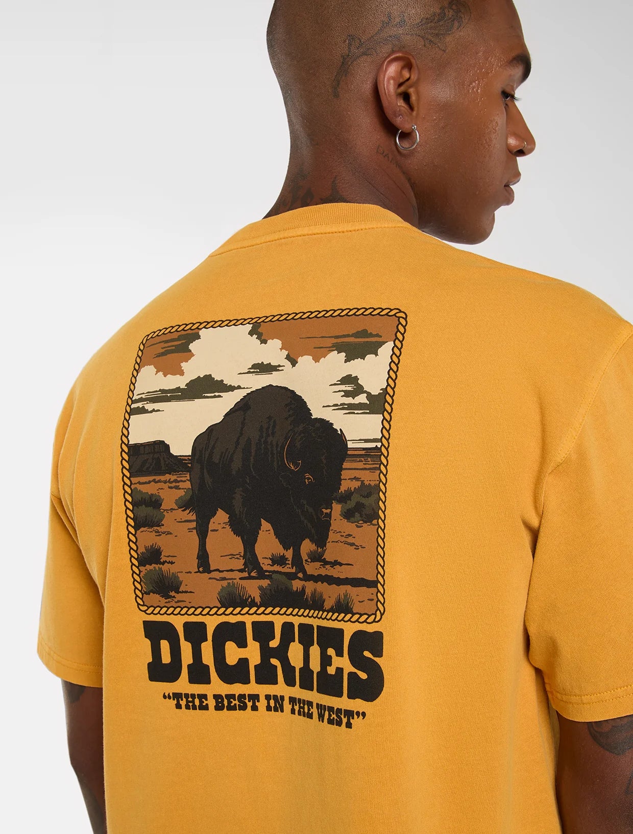 DICKIES Darrtown SS Tee - Sunflower