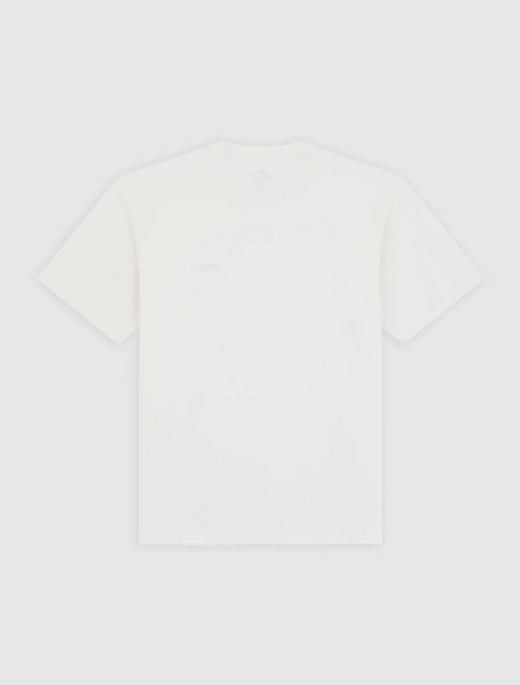 DICKIES LORETTO SS Tee - Ecru Beige