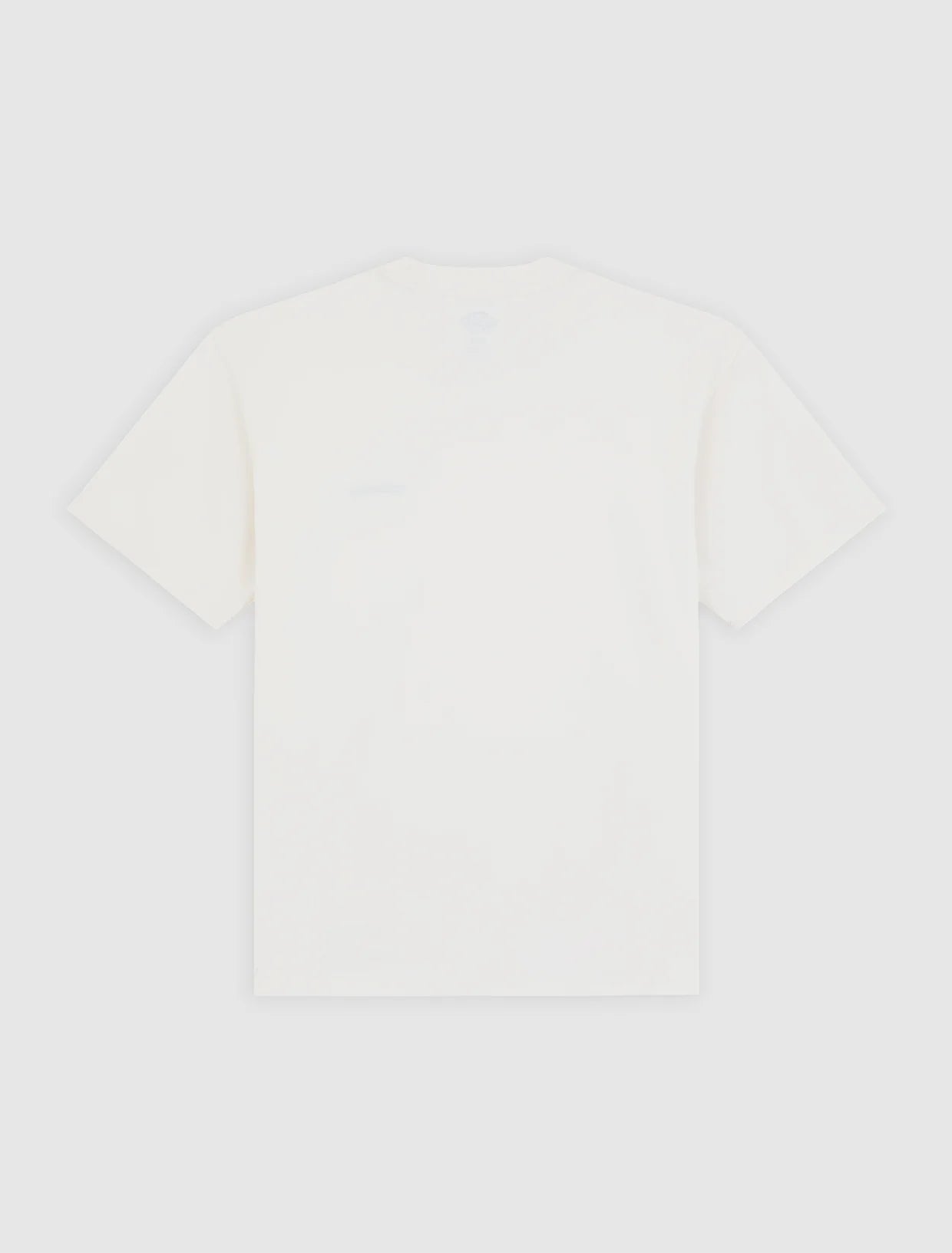 DICKIES LORETTO SS Tee - Ecru Beige
