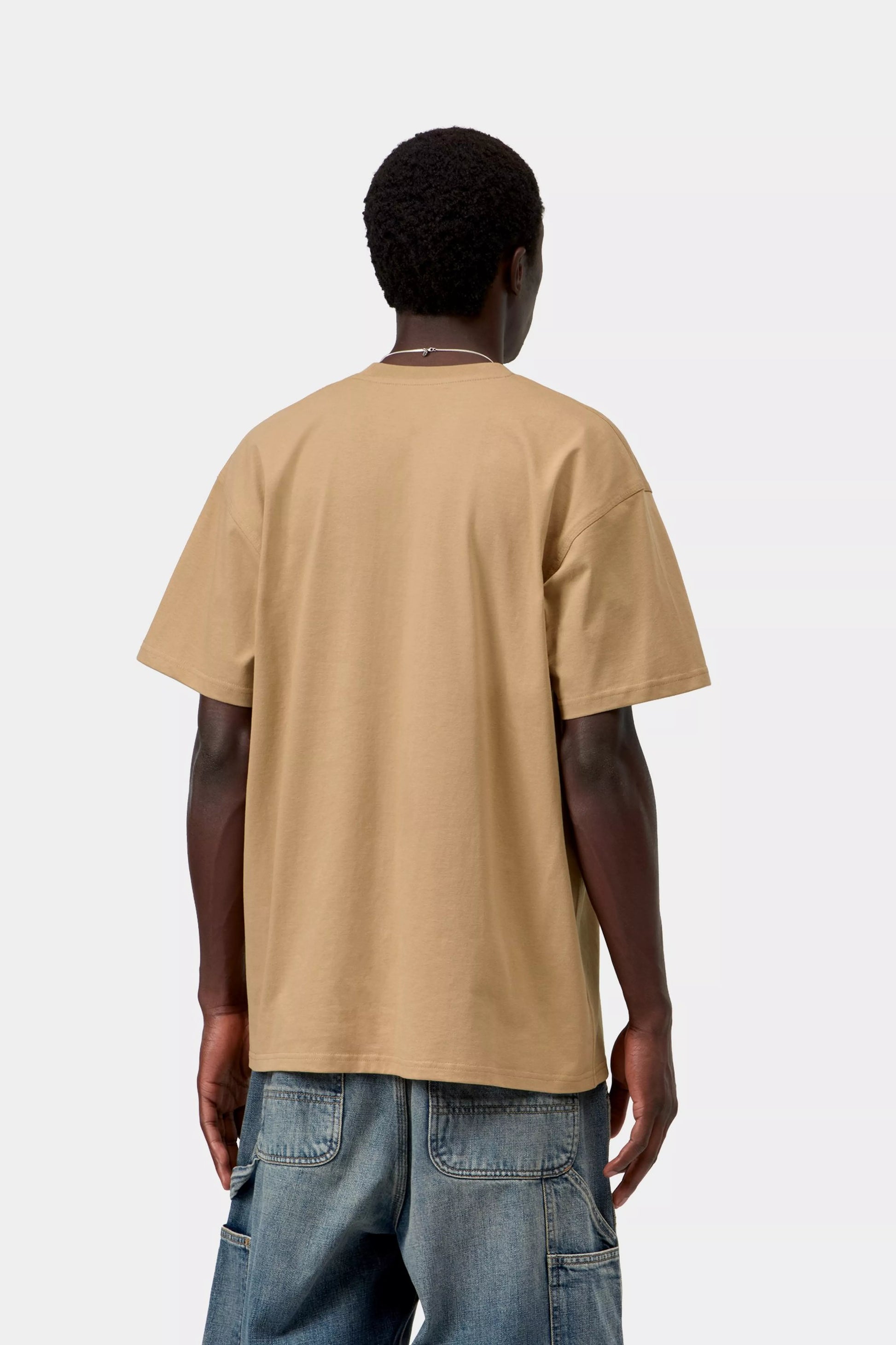 CARHARTT WIP S/S American Script T-Shirt - WIP Dusty H