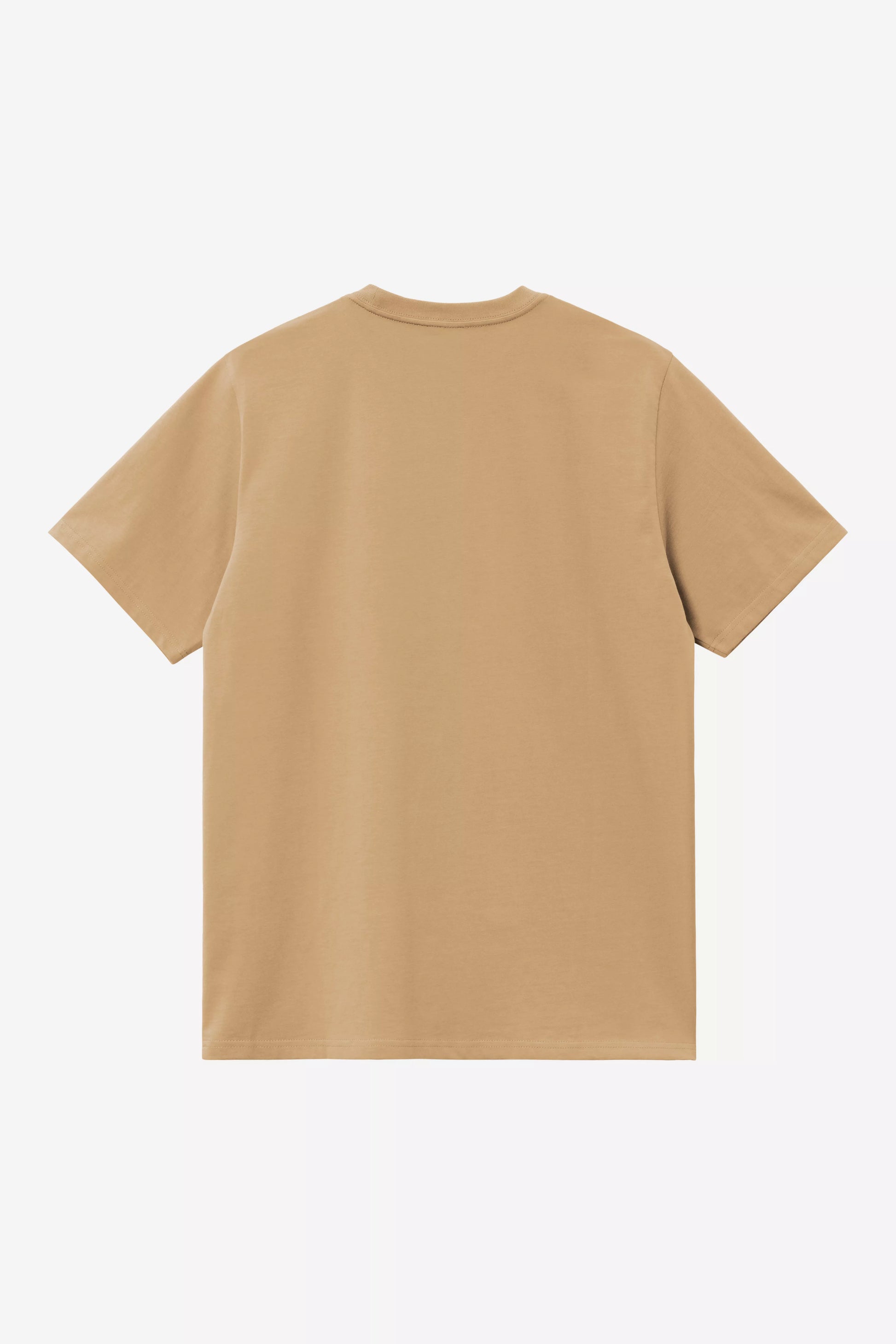 CARHARTT WIP S/S American Script T-Shirt - WIP Dusty H