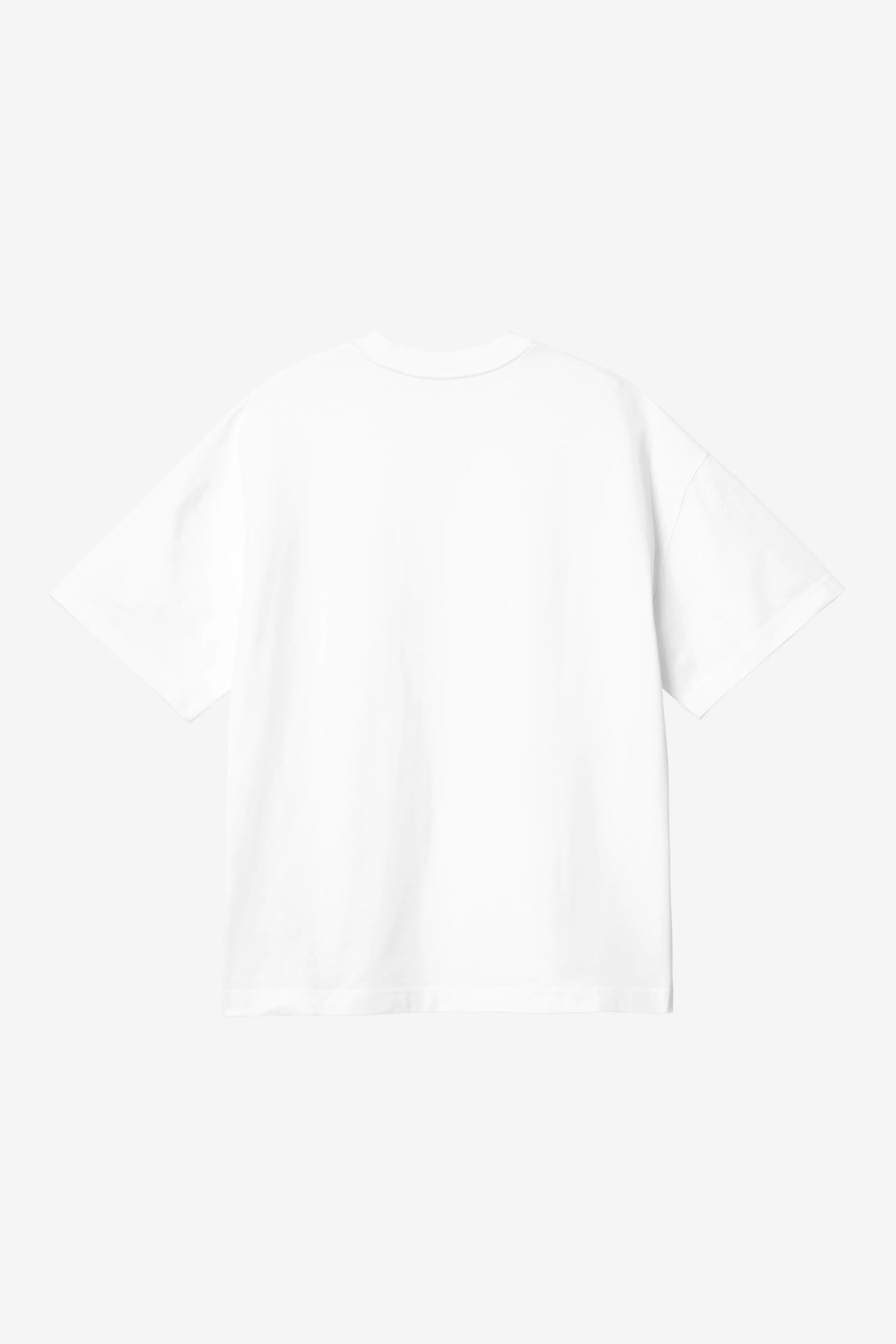 CARHARTT WIP S/S Link Script T-Shirt - White Black