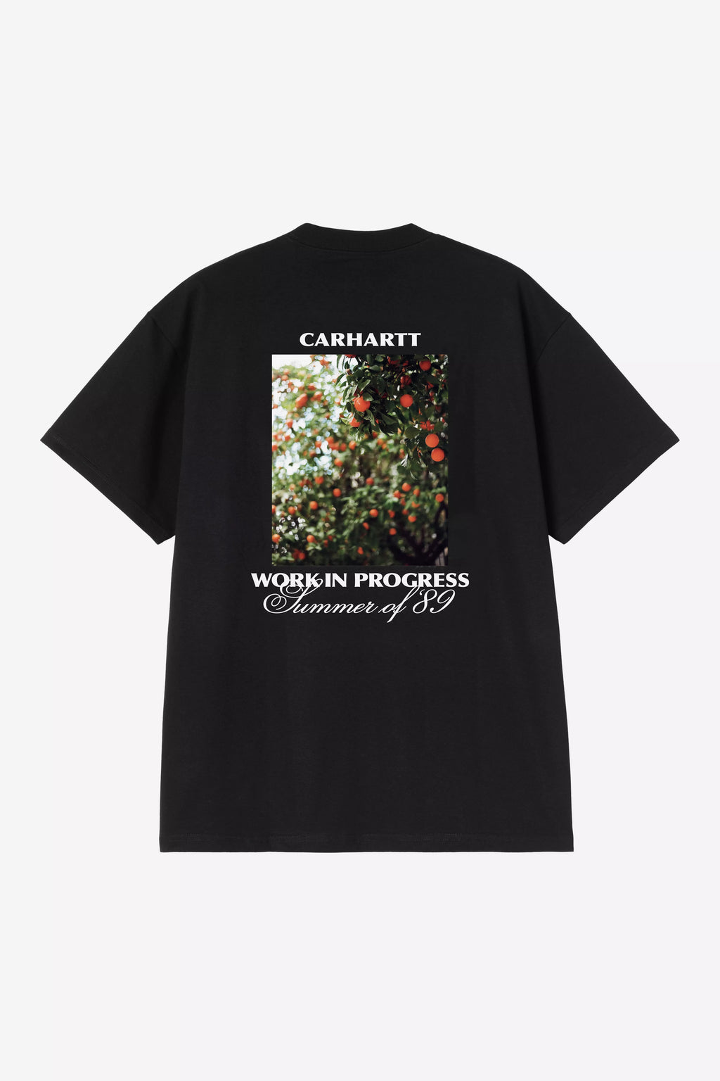 CARHARTT WIP S/S Warm Views T-Shirt - Black - FREESTYLE LLORET