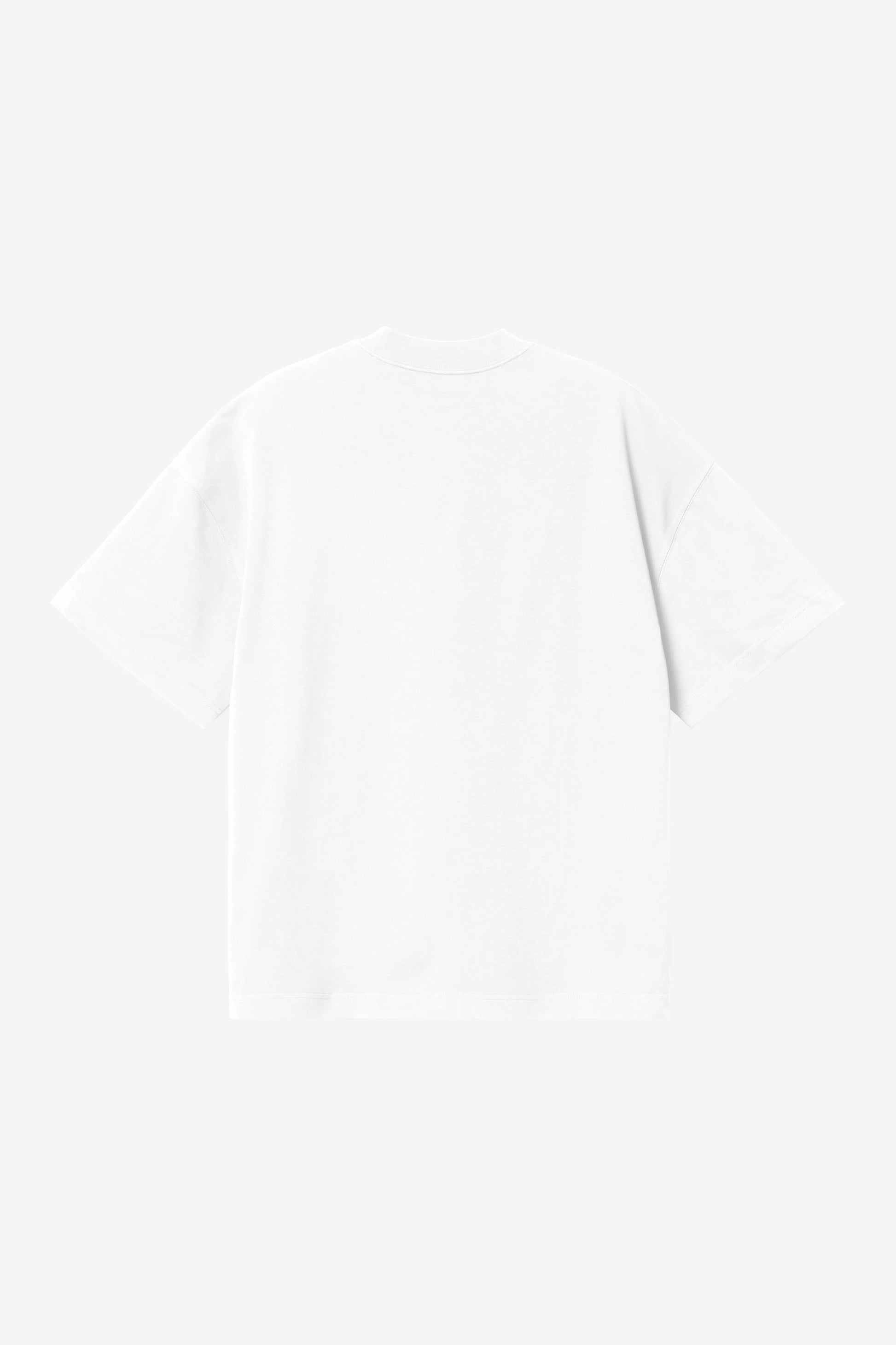 CARHARTT WIP S/S Chapter Script T-Shirt - White Black