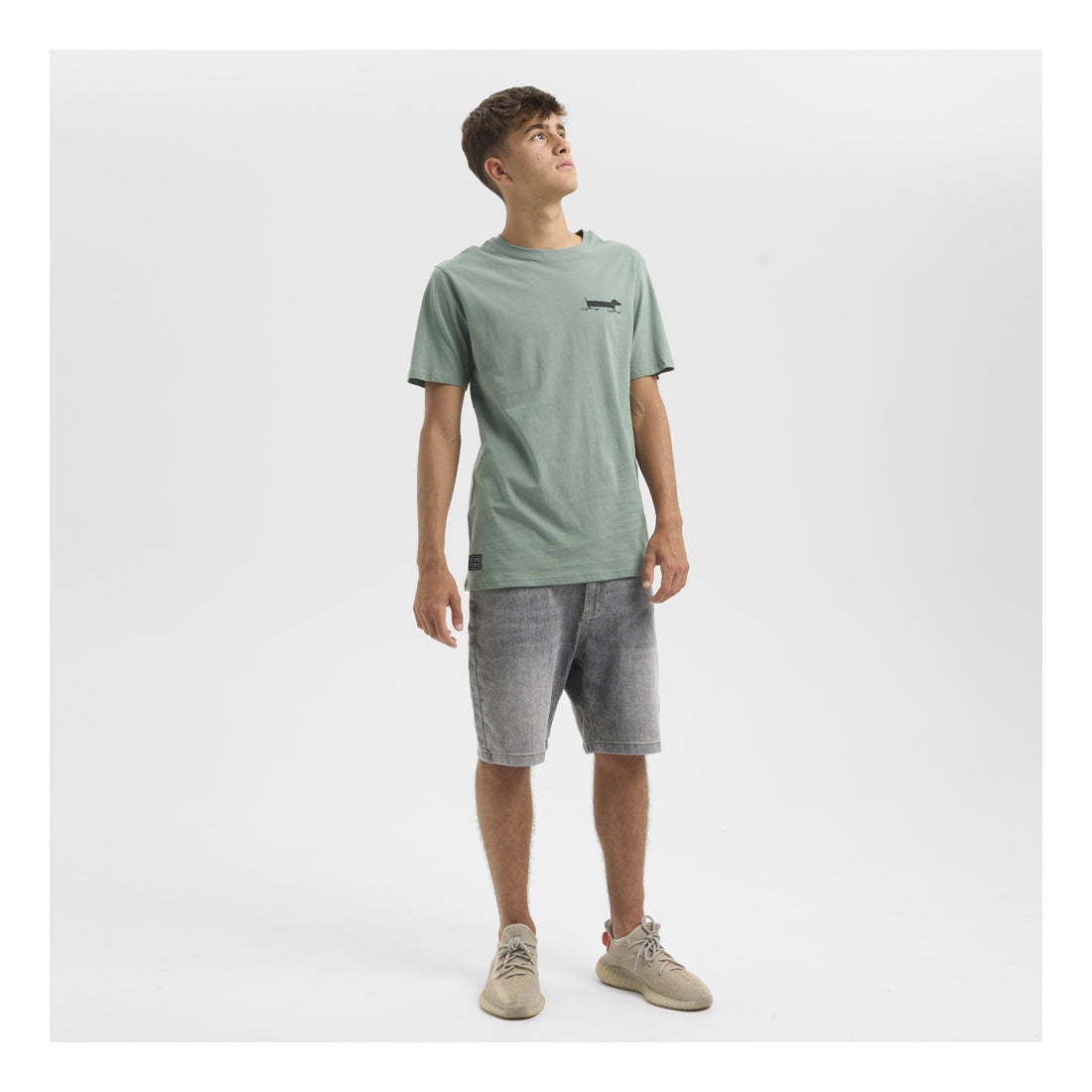 HYDROPONIC Dachshund SS Tee - Green