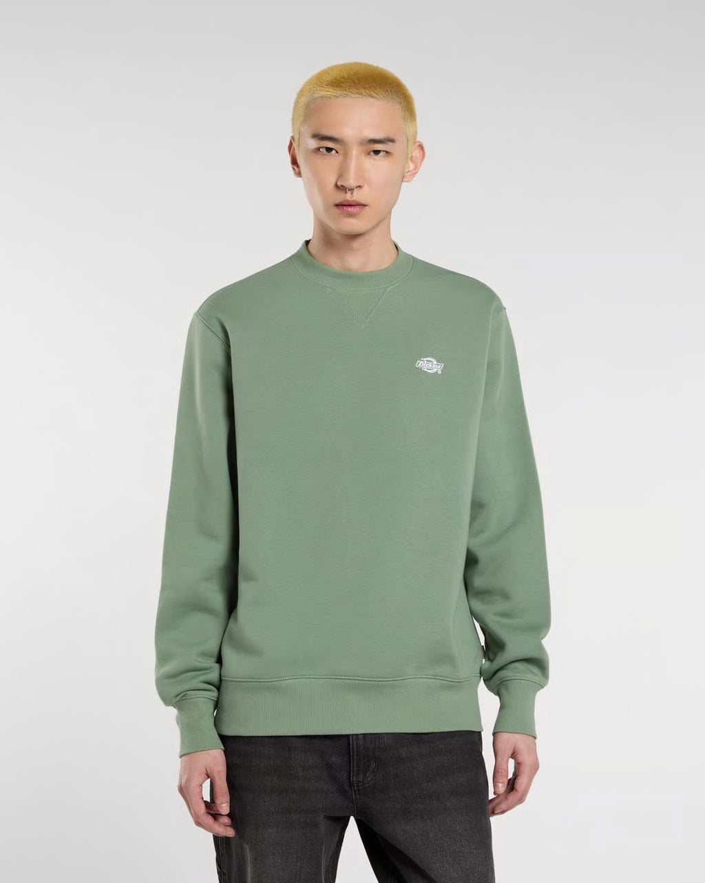 DICKIES SUMMERDALE SWEATSHIRT CREW - Green Sea Spray