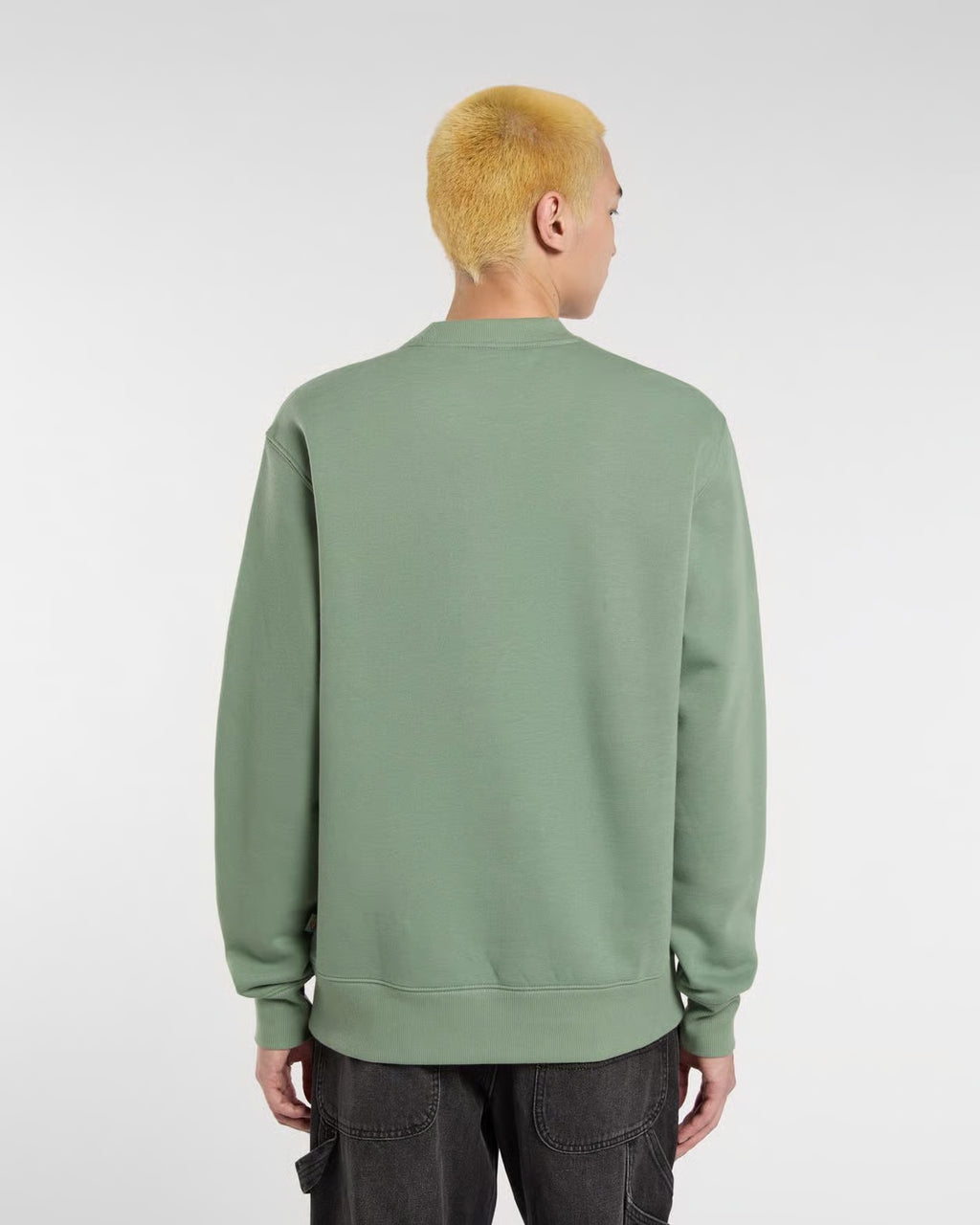 DICKIES SUMMERDALE SWEATSHIRT CREW - Green Sea Spray