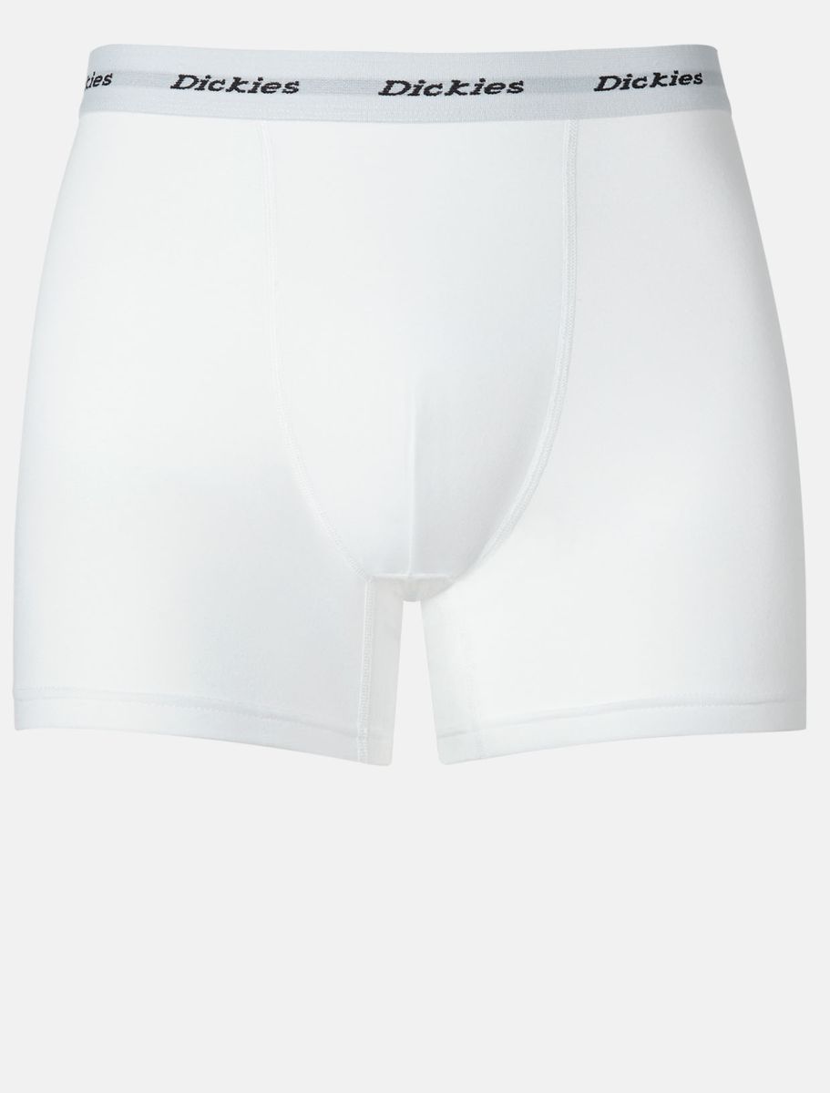DICKIES TRUNKS 2 PACK - White - FREESTYLE LLORET